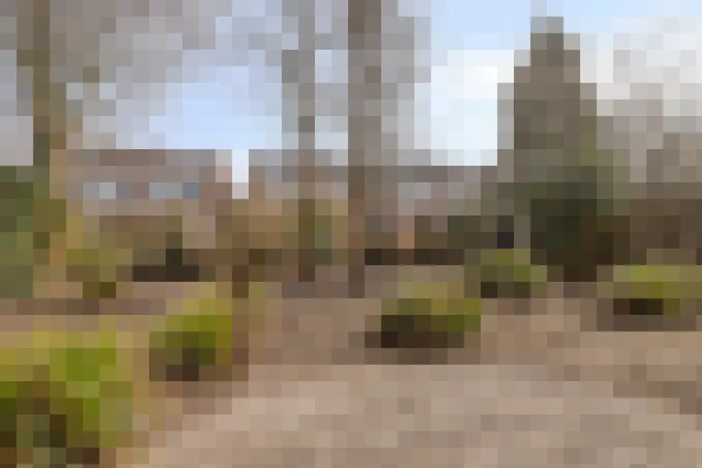 Botter 36 13 Lelystad thumbnail 25