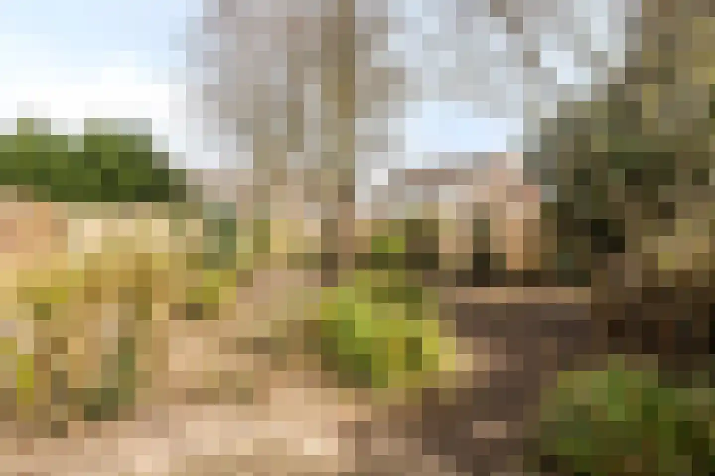Botter 36 13 Lelystad thumbnail 26