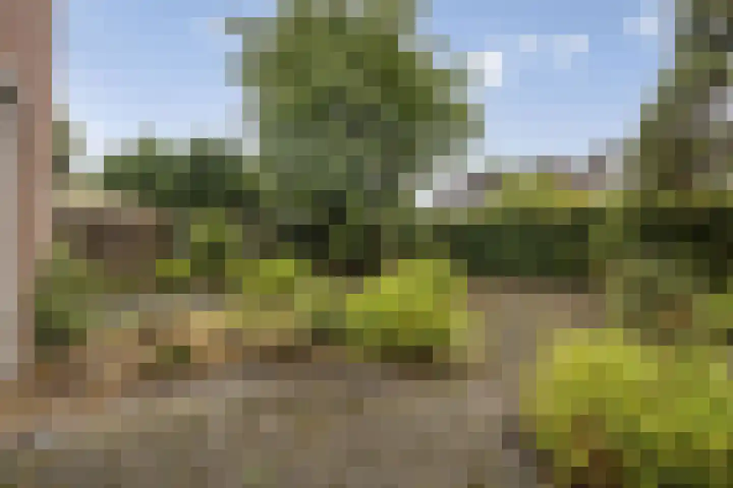 Botter 36 13 Lelystad thumbnail 27
