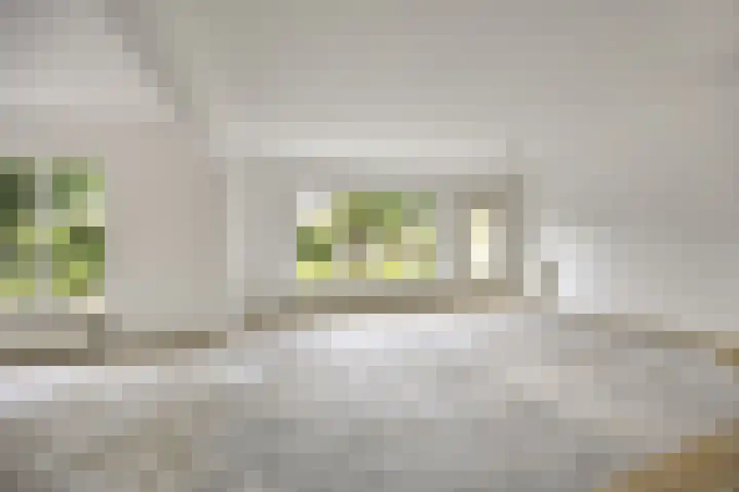 Botter 36 13 Lelystad thumbnail 6