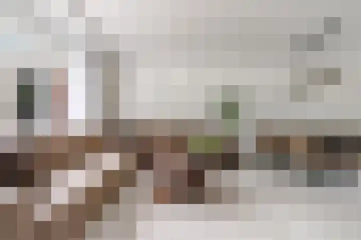 Botter 36 15 Lelystad thumbnail 11