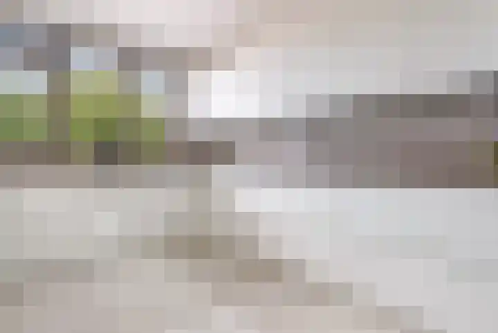 Botter 36 15 Lelystad thumbnail 17