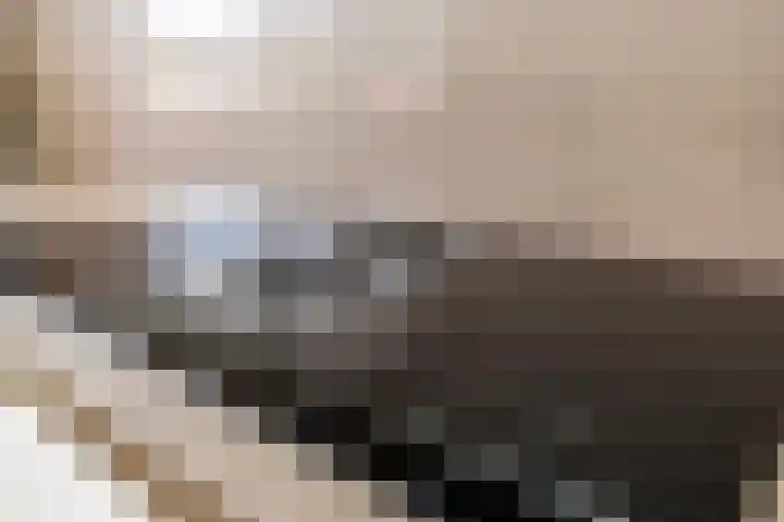Botter 36 15 Lelystad thumbnail 19