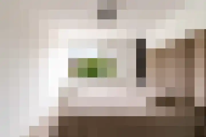 Botter 36 15 Lelystad thumbnail 23