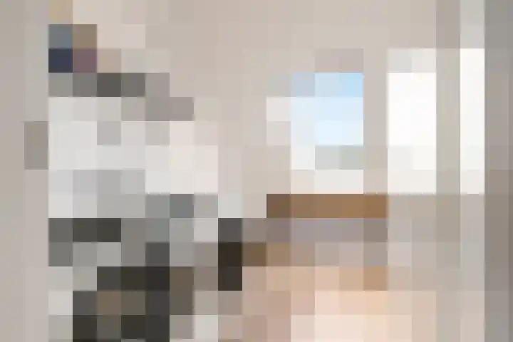 Botter 36 15 Lelystad thumbnail 34