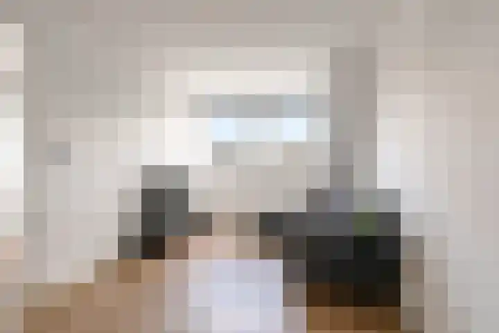 Botter 36 15 Lelystad thumbnail 35