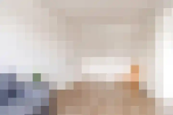 Botter 36 15 Lelystad thumbnail 36