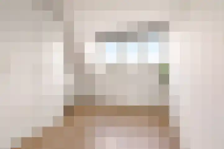 Botter 36 15 Lelystad thumbnail 37