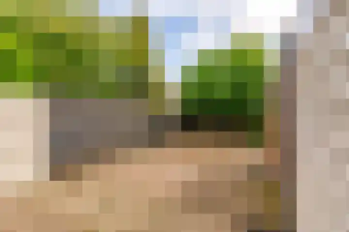 Botter 36 15 Lelystad thumbnail 39