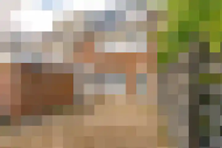 Botter 36 15 Lelystad thumbnail 40