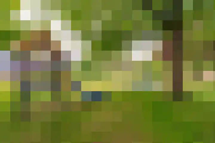 Botter 36 15 Lelystad thumbnail 43