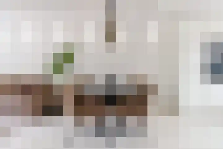 Botter 36 15 Lelystad thumbnail 8