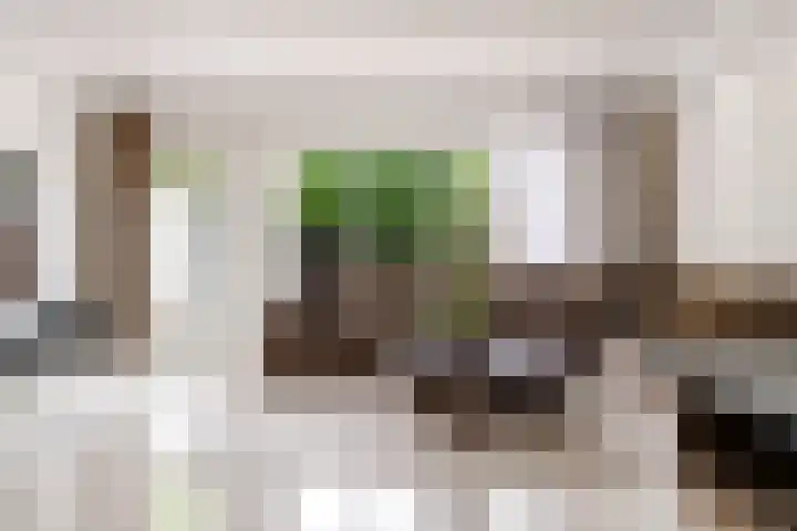 Botter 36 36 15 Lelystad thumbnail 15