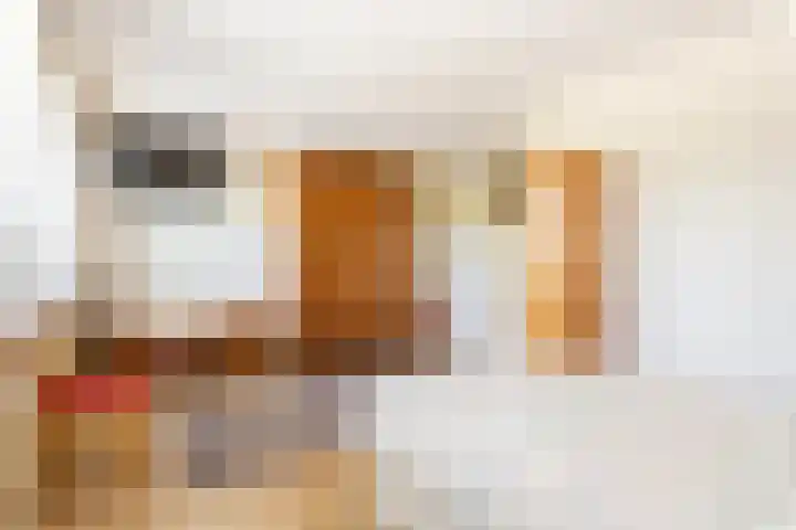 Botter 36 36 17 Lelystad thumbnail 18