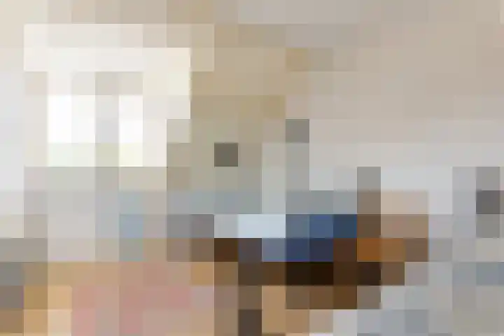 Botter 36 36 17 Lelystad thumbnail 24