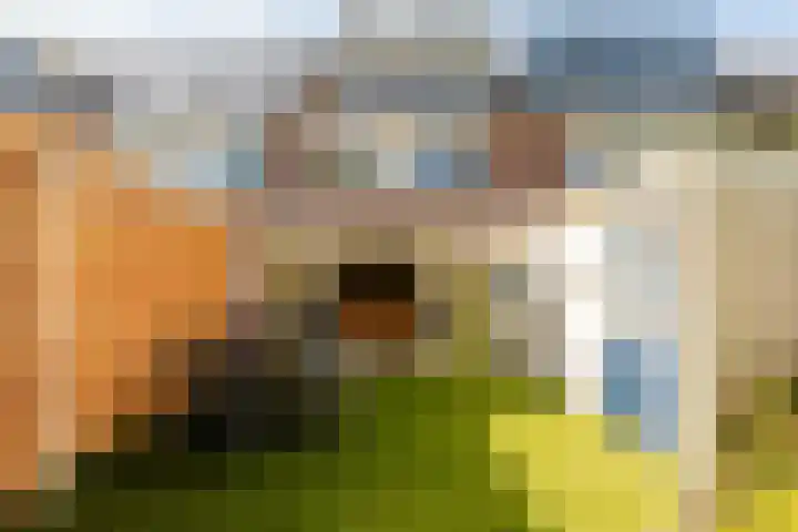 Botter 36 36 17 Lelystad thumbnail 26