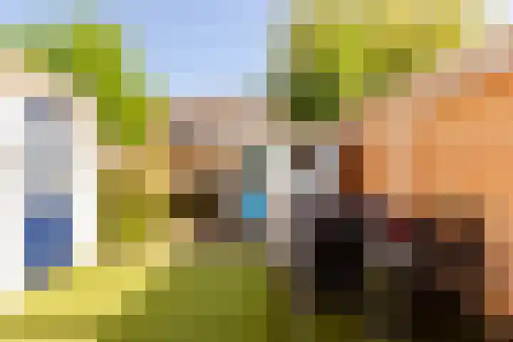 Botter 36 36 17 Lelystad thumbnail 27