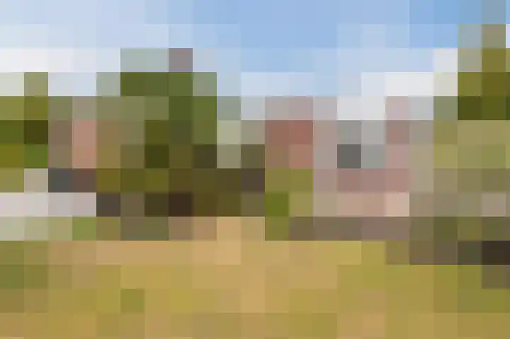 Botter 37 1 Lelystad thumbnail 37