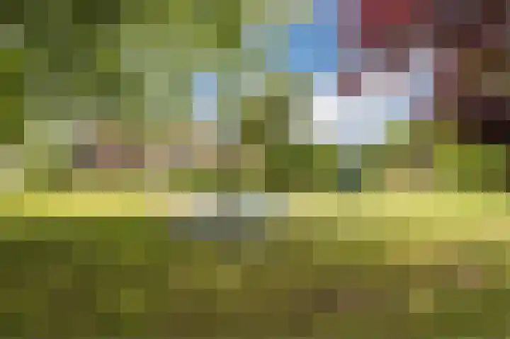 Botter 37 1 Lelystad thumbnail 44