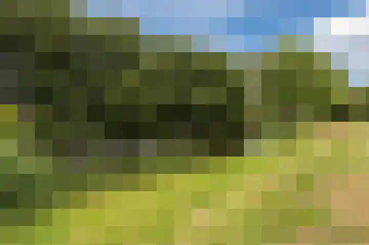 Botter 37 1 Lelystad thumbnail 45