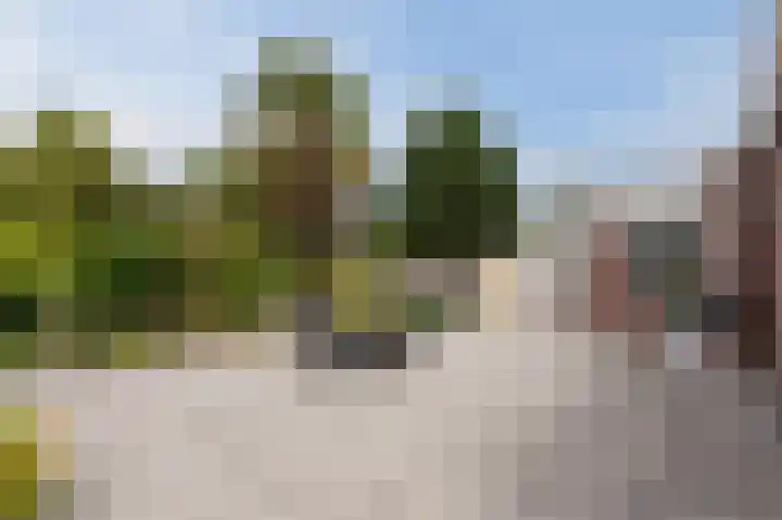 Botter 37 1 Lelystad thumbnail 5