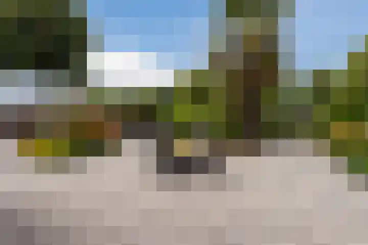 Botter 37 1 Lelystad thumbnail 6