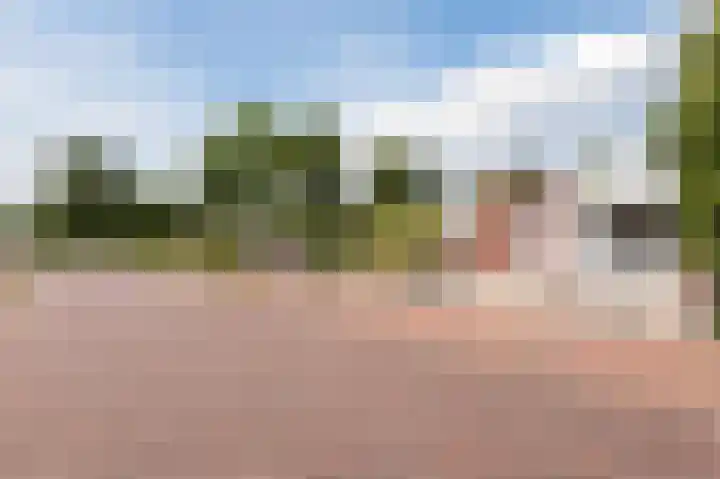 Botter 37 1 Lelystad thumbnail 8