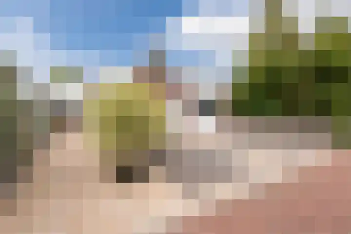 Botter 37 37 1 Lelystad thumbnail 10