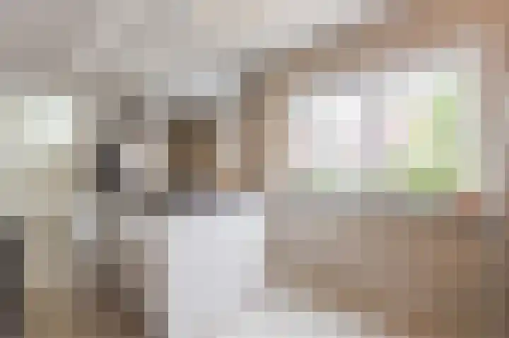 Botter 37 37 1 Lelystad thumbnail 12