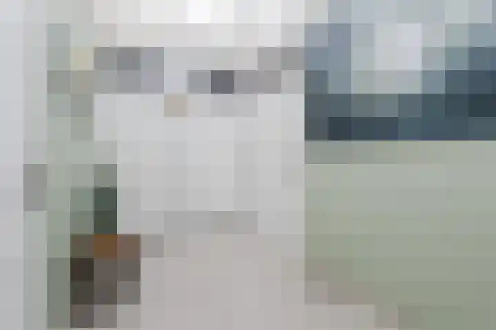 Botter 37 37 1 Lelystad thumbnail 24