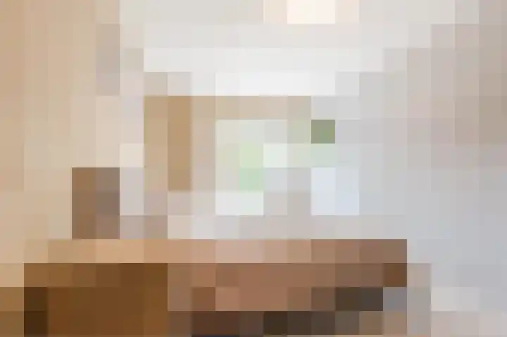 Botter 37 37 1 Lelystad thumbnail 33