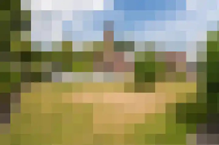 Botter 37 37 1 Lelystad thumbnail 38