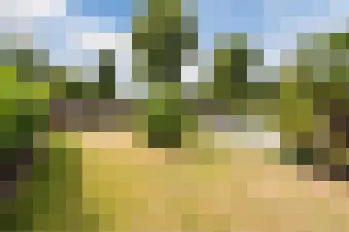 Botter 37 37 1 Lelystad thumbnail 40