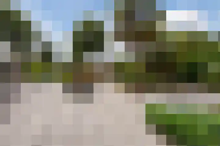 Botter 37 37 1 Lelystad thumbnail 7