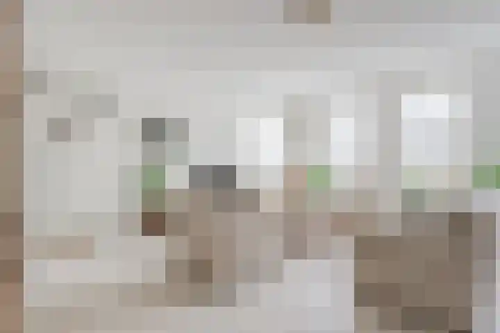 Botter 37 Heerenveen thumbnail 12