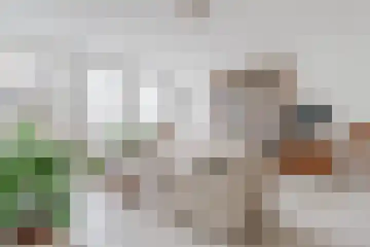 Botter 37 Heerenveen thumbnail 13