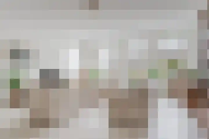 Botter 37 Heerenveen thumbnail 14