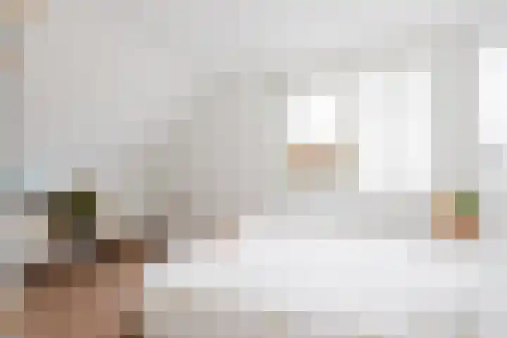 Botter 37 Heerenveen thumbnail 29