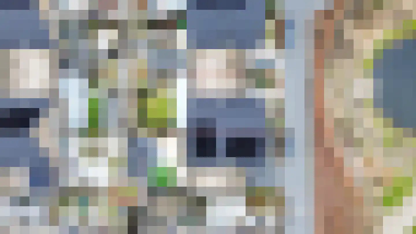 Botter 37 Heerenveen thumbnail 40