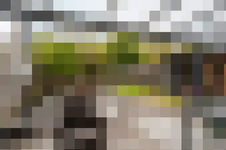Botter 38 18 Lelystad thumbnail 32