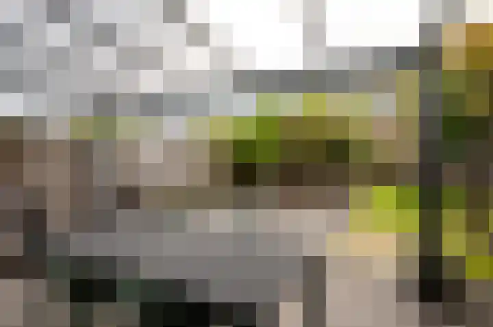 Botter 38 18 Lelystad thumbnail 33