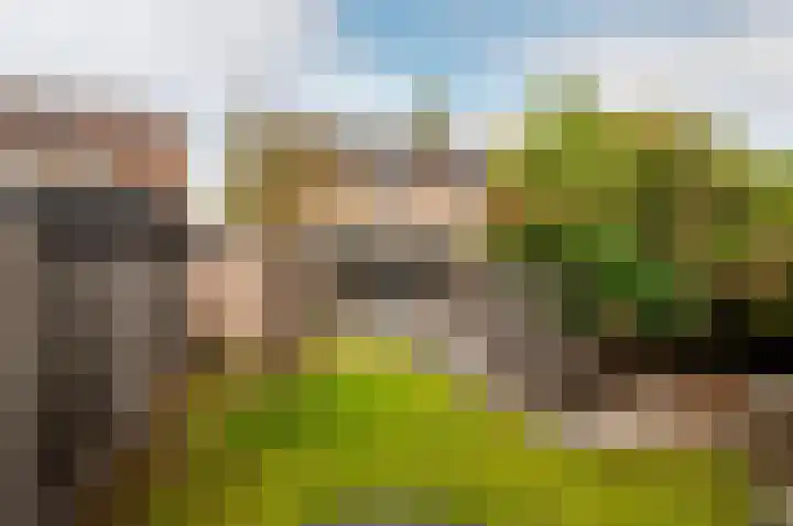 Botter 38 18 Lelystad thumbnail 34
