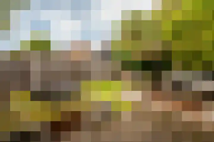Botter 38 18 Lelystad thumbnail 35