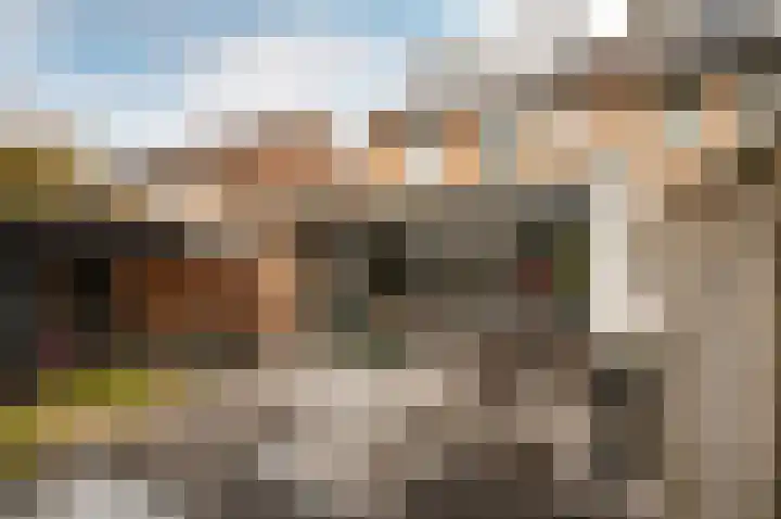 Botter 38 18 Lelystad thumbnail 36
