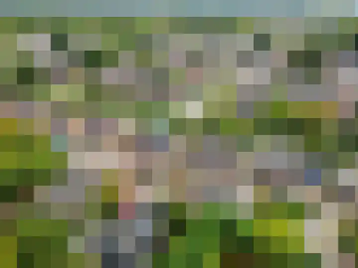 Botter 38 18 Lelystad thumbnail 44