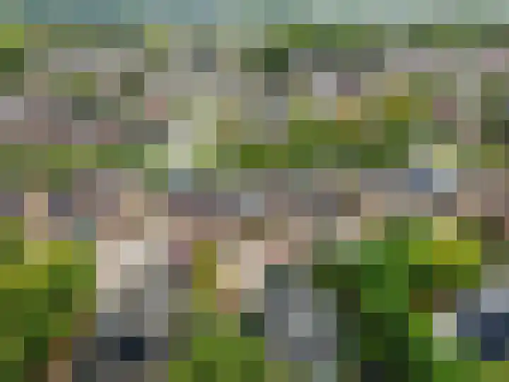 Botter 38 18 Lelystad thumbnail 45
