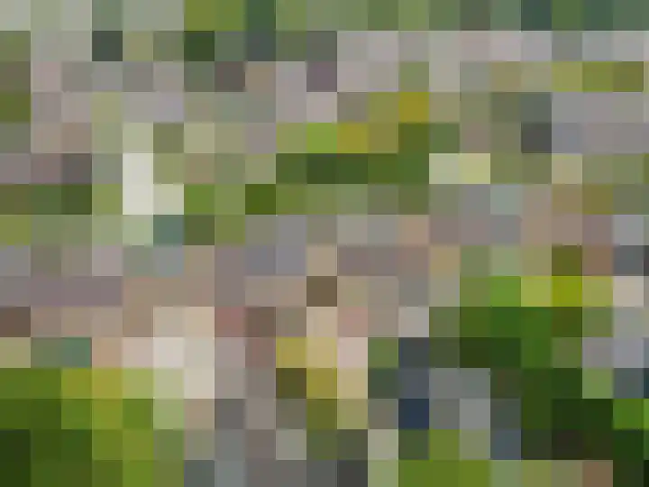 Botter 38 18 Lelystad thumbnail 46