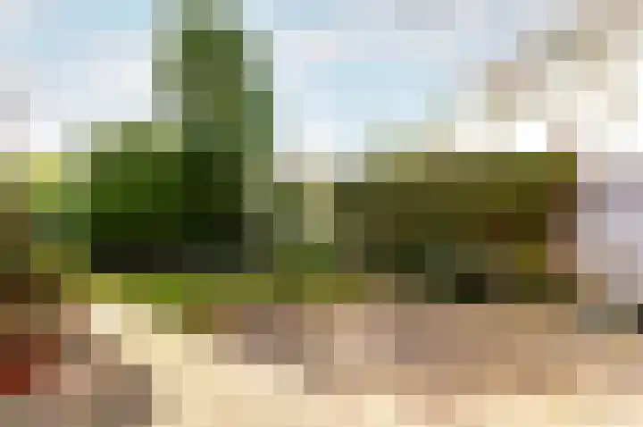 Botter 38 38 32 Lelystad thumbnail 34