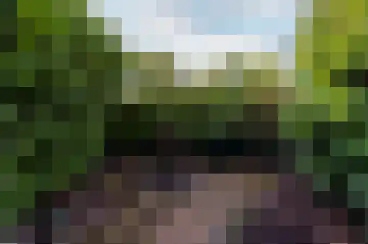 Botter 38 38 32 Lelystad thumbnail 35