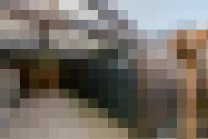 Botter 38 38 44 Lelystad thumbnail 36
